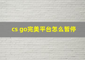 cs go完美平台怎么暂停